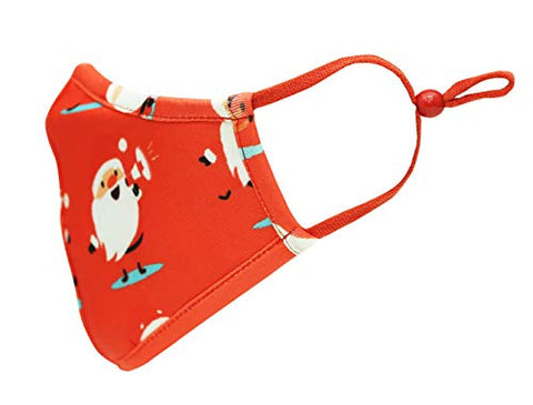 TSM Christmas Holly Washable and Reusable 3 Layer Cloth Mask