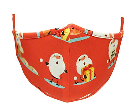 TSM Christmas Gift Washable and Reusable 3 Layer Cloth Mask