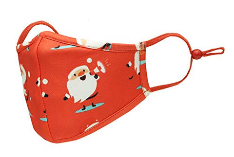 TSM Christmas Holly Washable and Reusable 3 Layer Cloth Mask