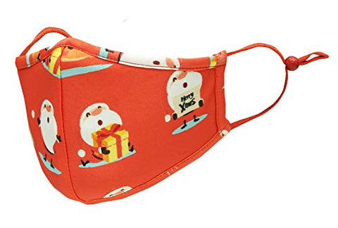 TSM Christmas Gift Washable and Reusable 3 Layer Cloth Mask